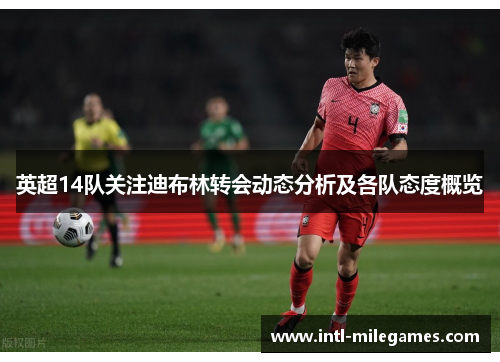 英超14队关注迪布林转会动态分析及各队态度概览