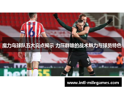 魔力鸟球队五大亮点揭示 力压群雄的战术魅力与球员特色