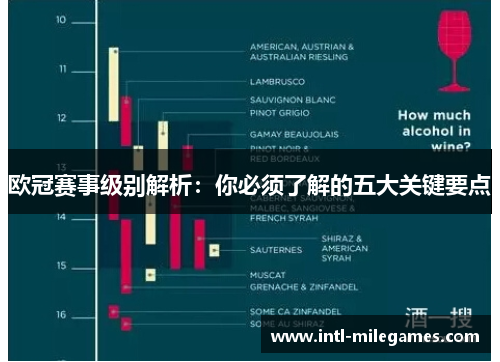 欧冠赛事级别解析：你必须了解的五大关键要点